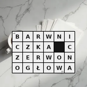 Hasło krzyżówkowe pionopsitta pileata gatunek ptaka z rodziny papugowatych psittacidae z podrodziny papug neotropikalnych arinae - barwniczka czerwonogłowa – rozwiązanie, synonimy, podpowiedzi i definicje krzyżówkowe